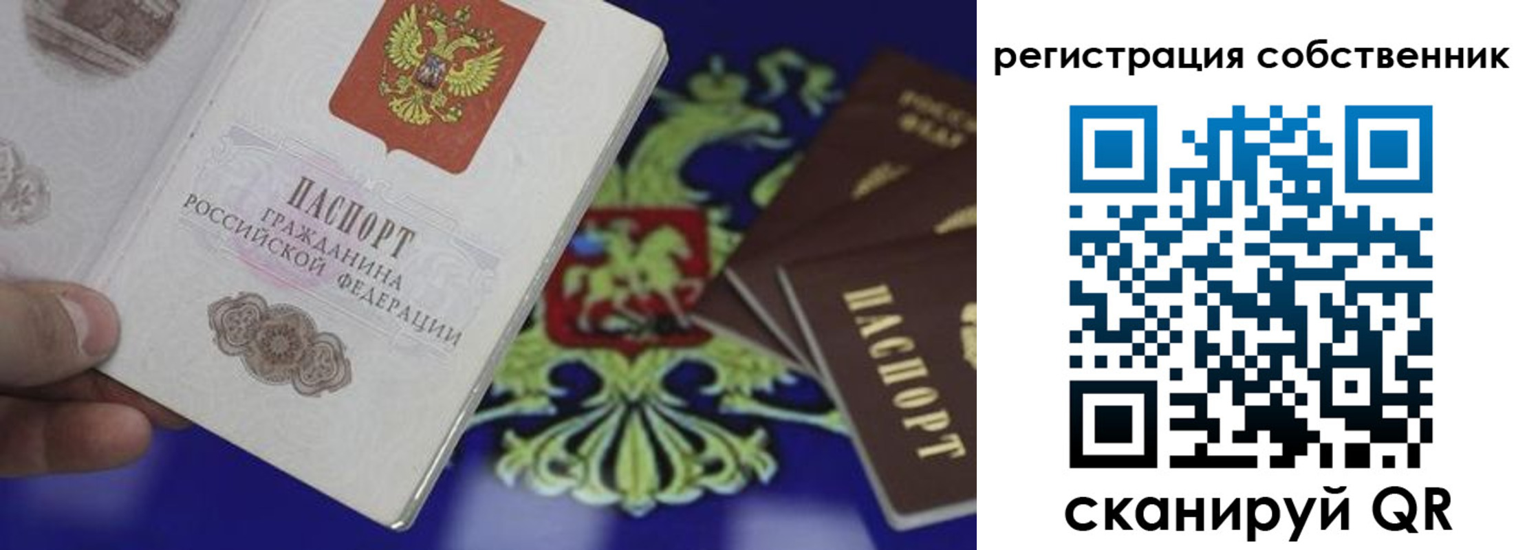 временная регистрация надежно в Гвардейске